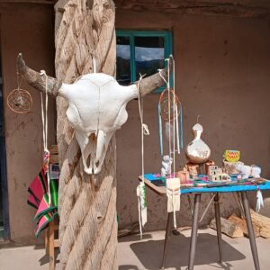 Cow head at the Taos Pueblos